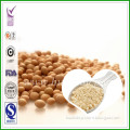 Isolated Soybean Protein Powder